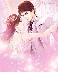 紫冥重生之铠甲英雄传